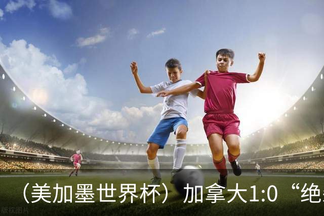 （美加墨世界杯）加拿大1:0“绝杀”南非 队史首进16强
