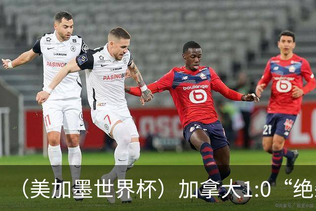 （美加墨世界杯）加拿大1:0“绝杀”南非 队史首进16强